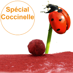 Bombe à graines / Cocon avec mélange de graines "Spécial Coccinelles "