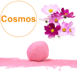 Bombe à graines / Cocon avec graines de Cosmos en mélange BIO