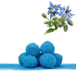 Bombe à graines / Cocon avec graines de Bourrache bleue BIO