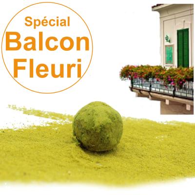 Bombe à graines / Cocon avec mélange de graines " Spécial Balcon Fleuri "