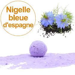 Bombe à graines / Cocon avec mélange de graines de Nigelle bleu d'Espagne