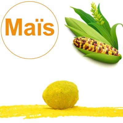 Bombe à graines / Cocon avec graines de Maïs Multicolore BIO