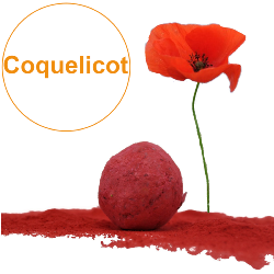 Bombe à graines / Cocon avec graines de Coquelicots rouges BIO